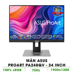 Màn hình Asus ProArt PA248QV (24inch WUXGA IPS 75Hz 5ms 300nits HDMI DP DSub Audio USB)